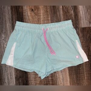 Champion Women's Light Bkue Striped Athletic Shorts